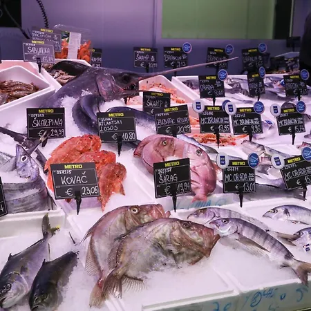 Appartamento Nona Marija Centar Pola