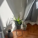 Nona Marija Centar
